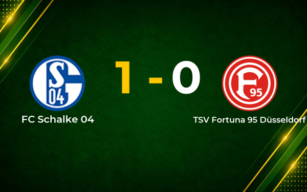 Karaman Strike Lifts Schalke to Narrow Win Over Düsseldorf