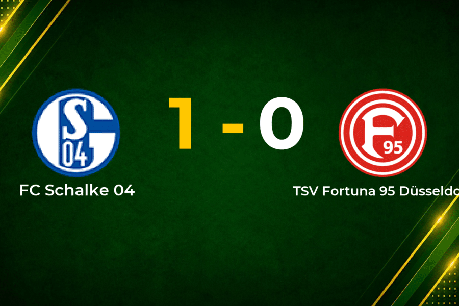 Karaman Strike Lifts Schalke to Narrow Win Over Düsseldorf