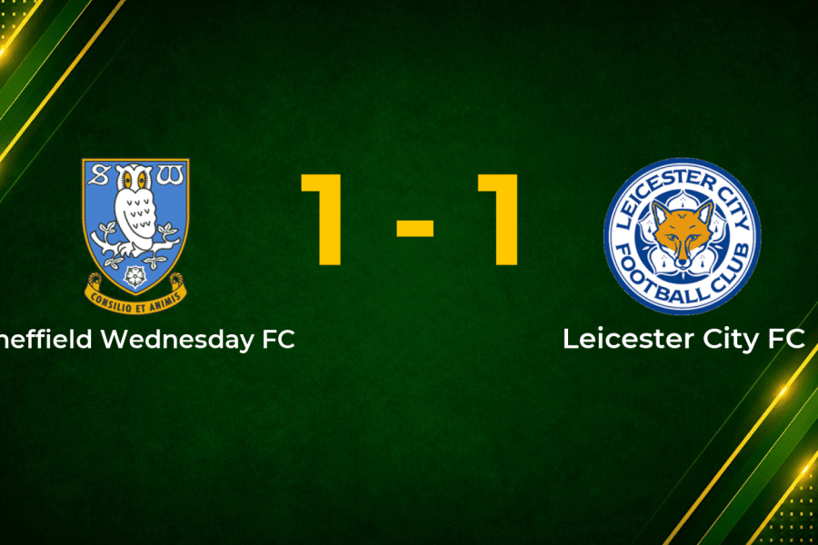 Late Ayew Equaliser Denies Sheffield Wednesday in Draw with Leicester