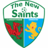 The New Saints FC